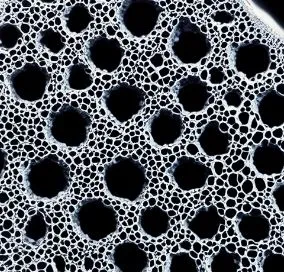 Aglomerirani aktivirani ogljik